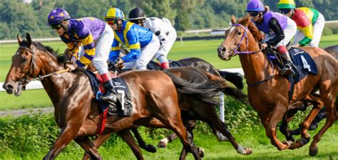 Så förstår du odds: En nybörjarguide till online betting.